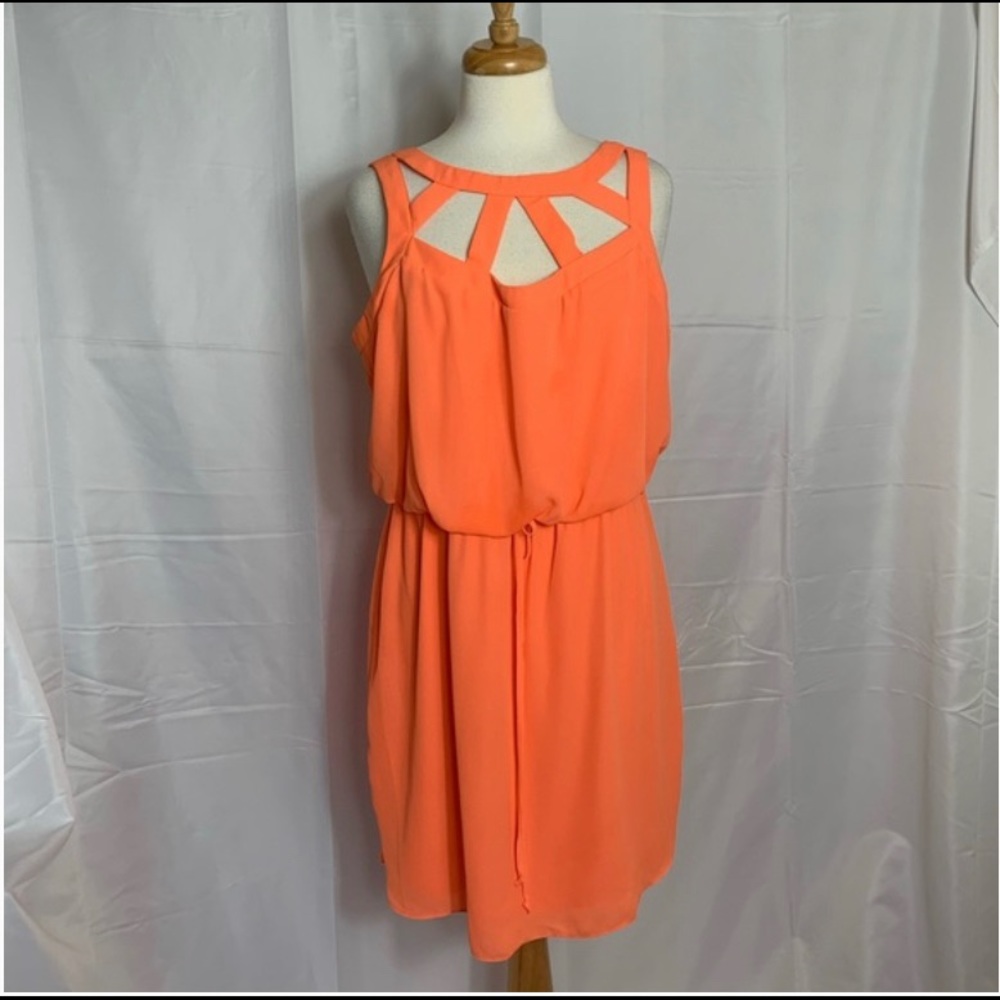B. Smart Tangerine Dress, Sleeveless - 16